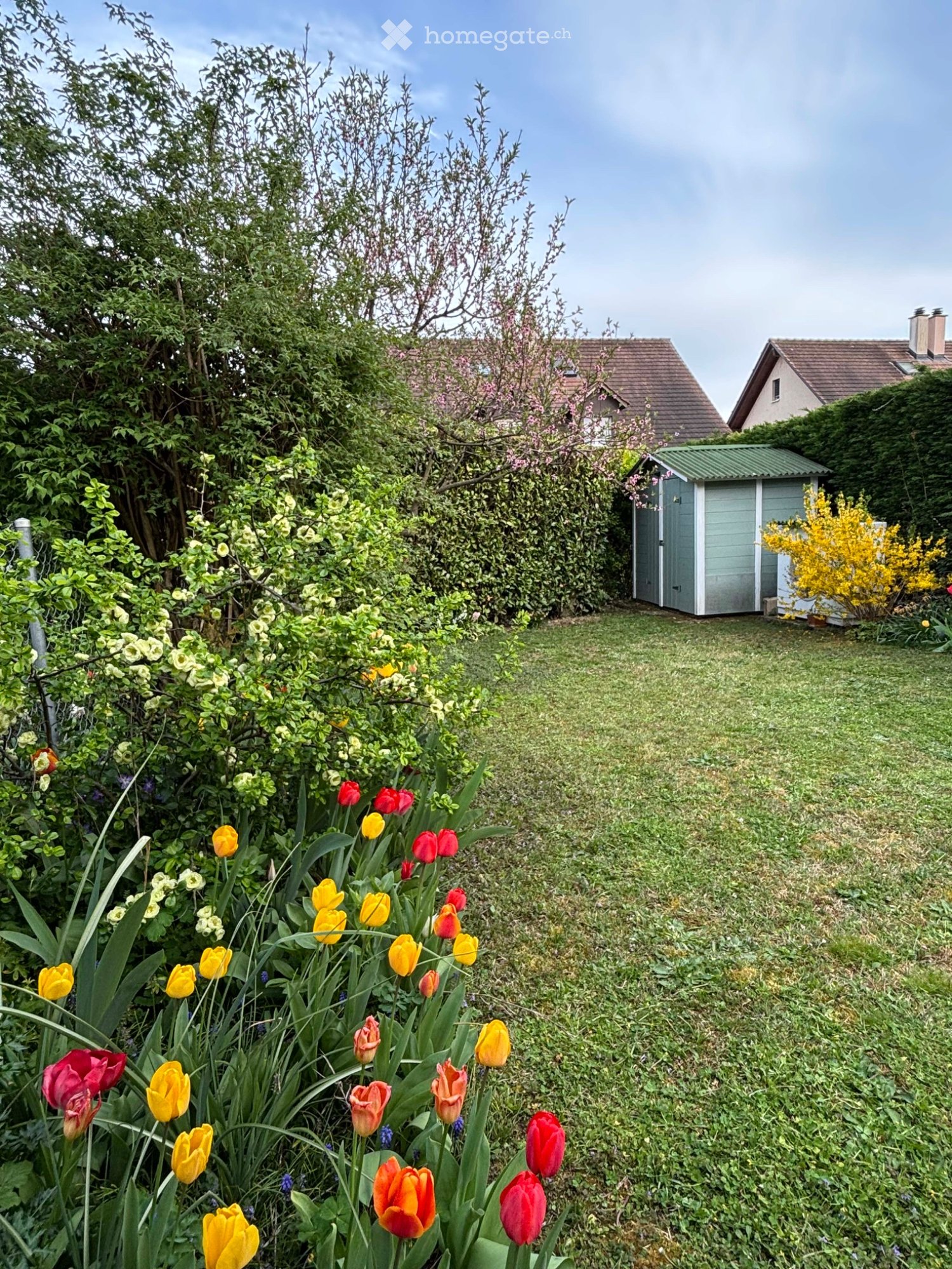 5-Zimmer-Einfamilienhaus