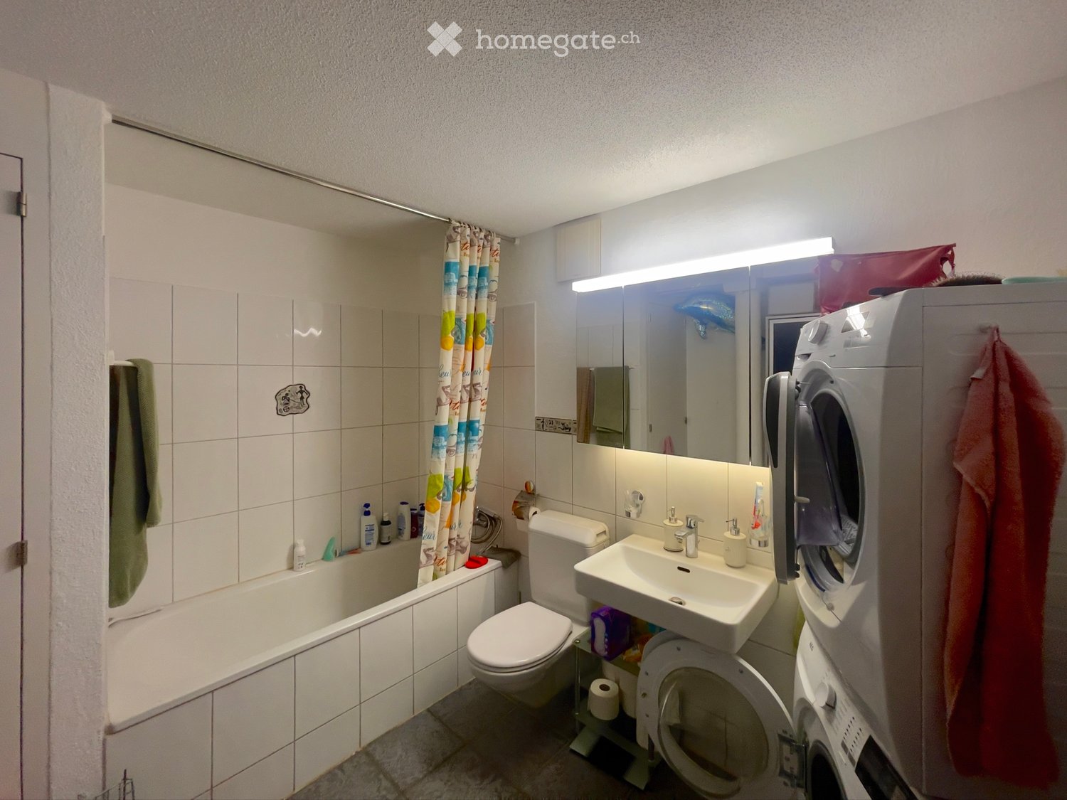 appartement 1 pièce