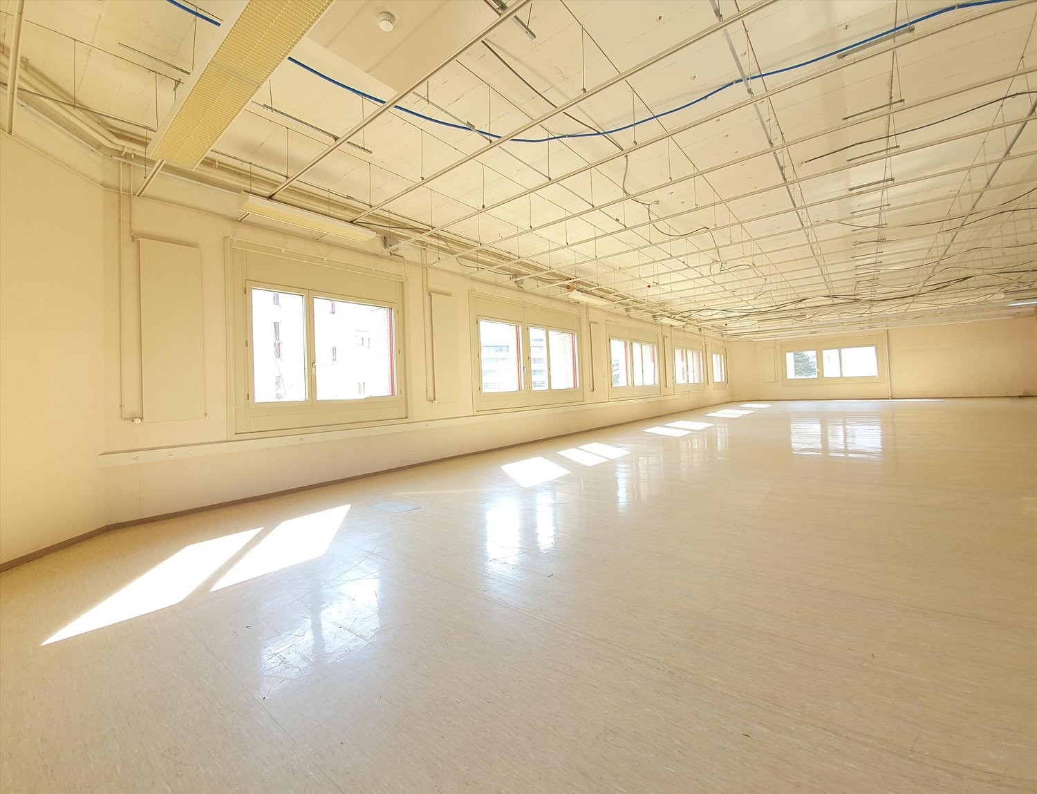 443m² office