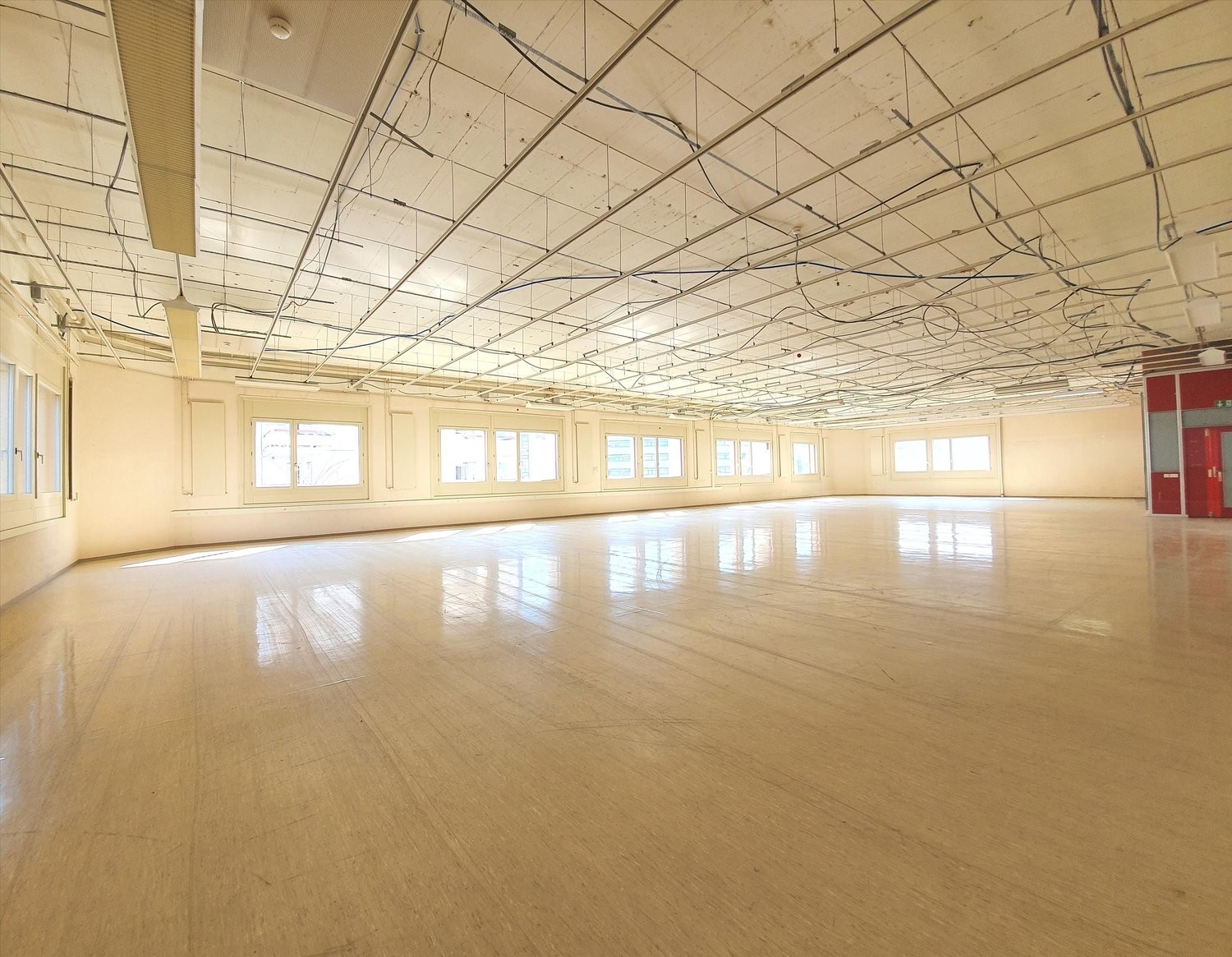 443m² office