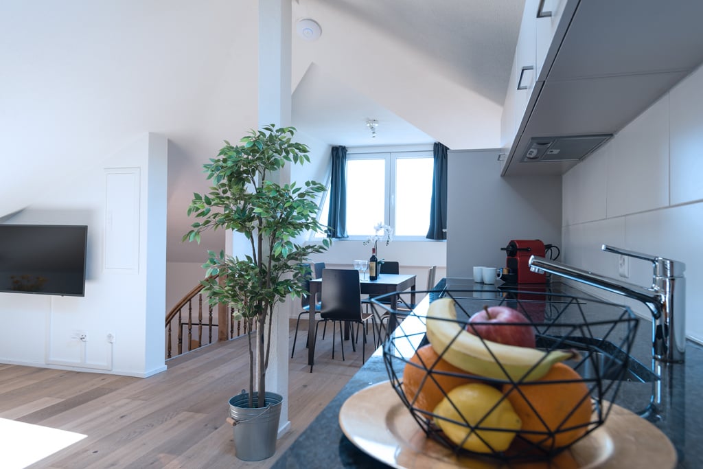 Appartement meublé de 3 ½ pièces