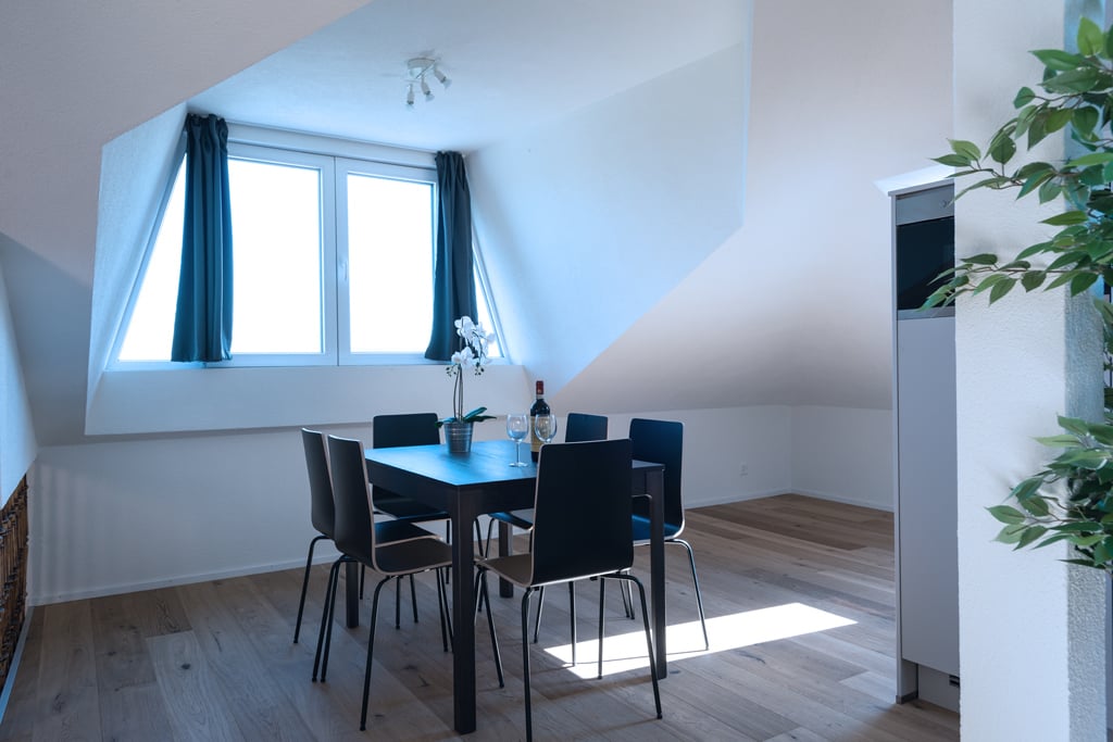 Appartement meublé de 3 ½ pièces