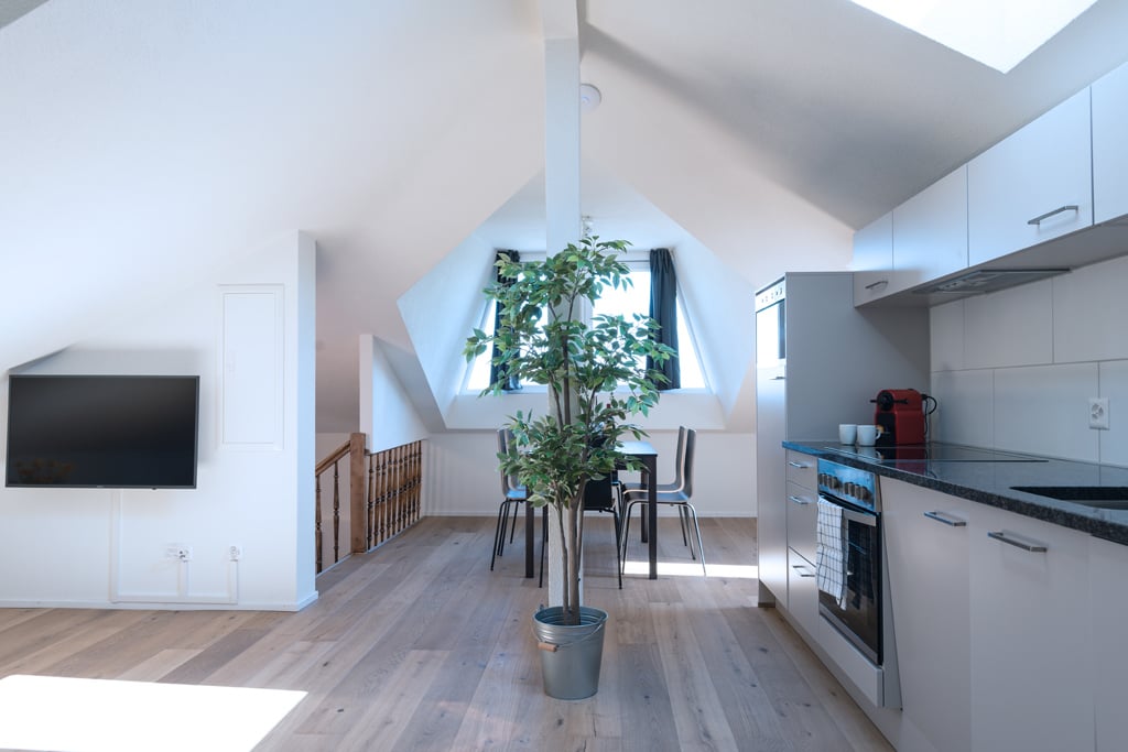 Appartement meublé de 3 ½ pièces