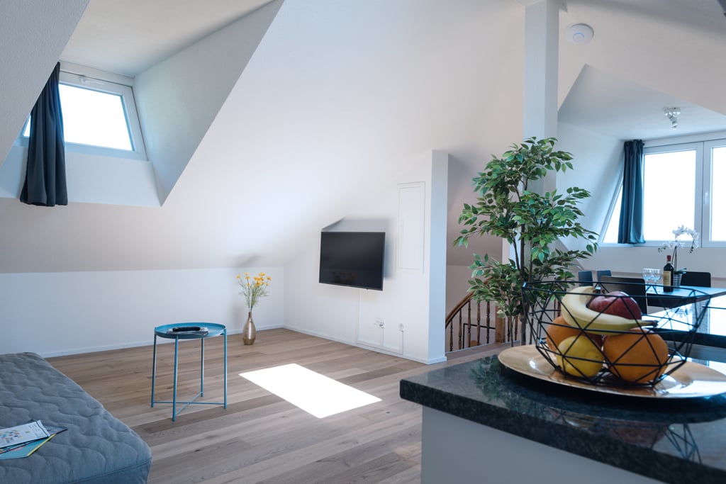 Appartement meublé de 3 ½ pièces