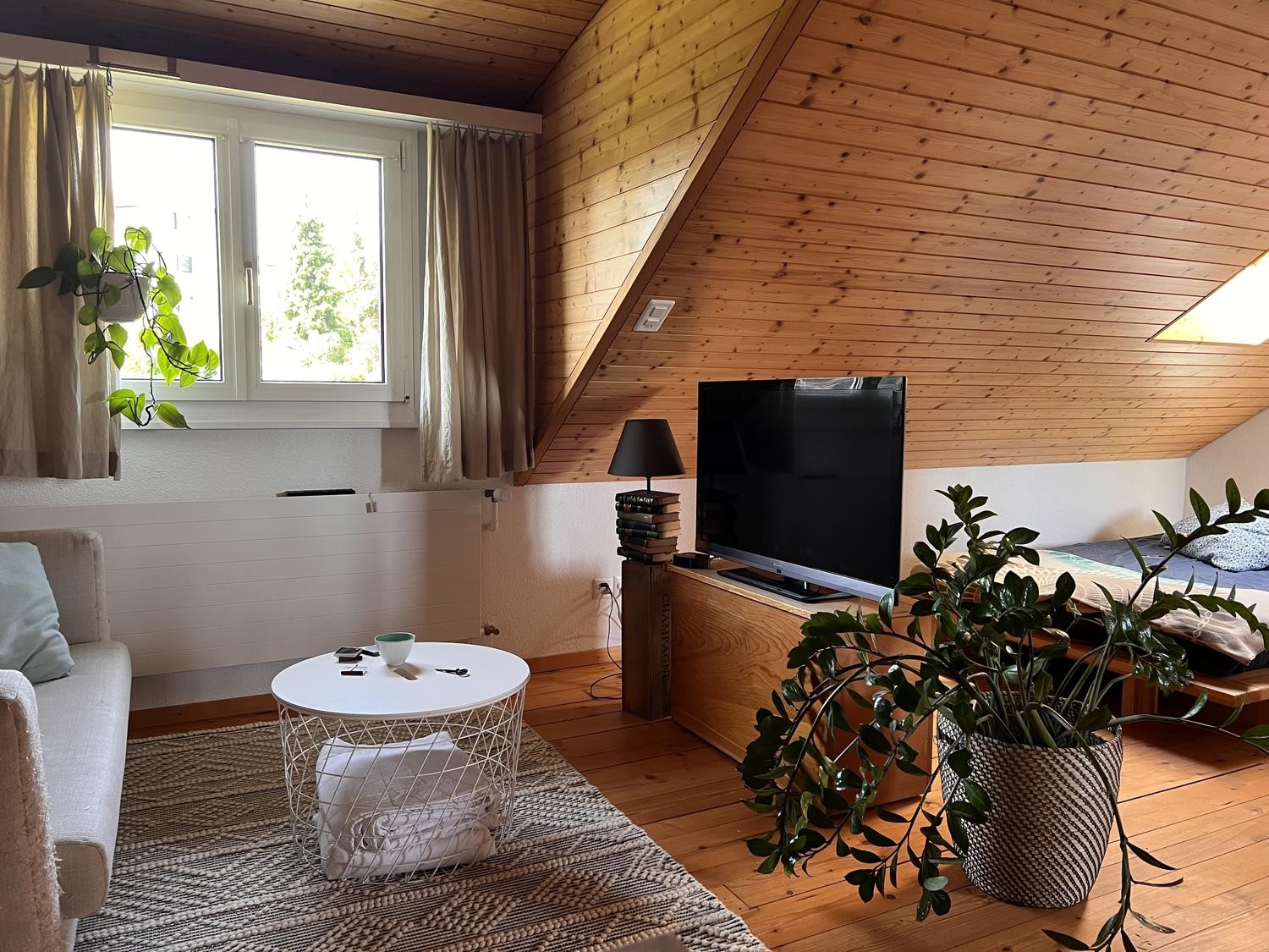 Room in a shared flat