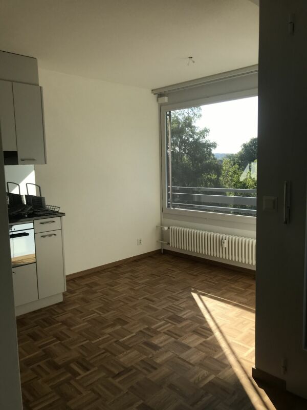 1 ½ rooms apartment