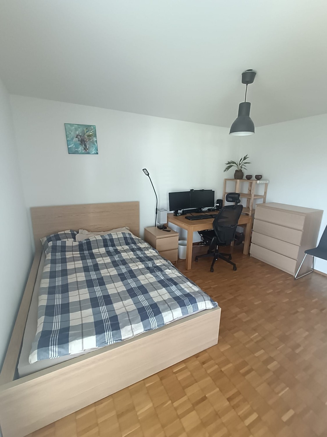 Chambre dans une colocation