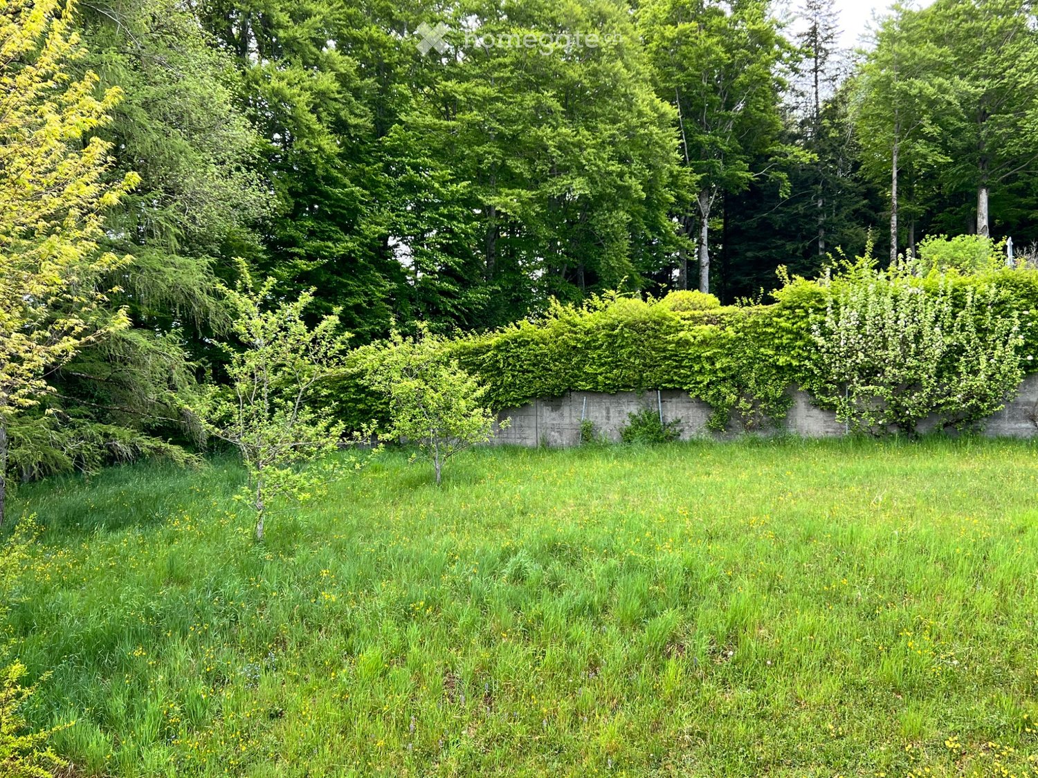 7-Zimmer-Wohnung