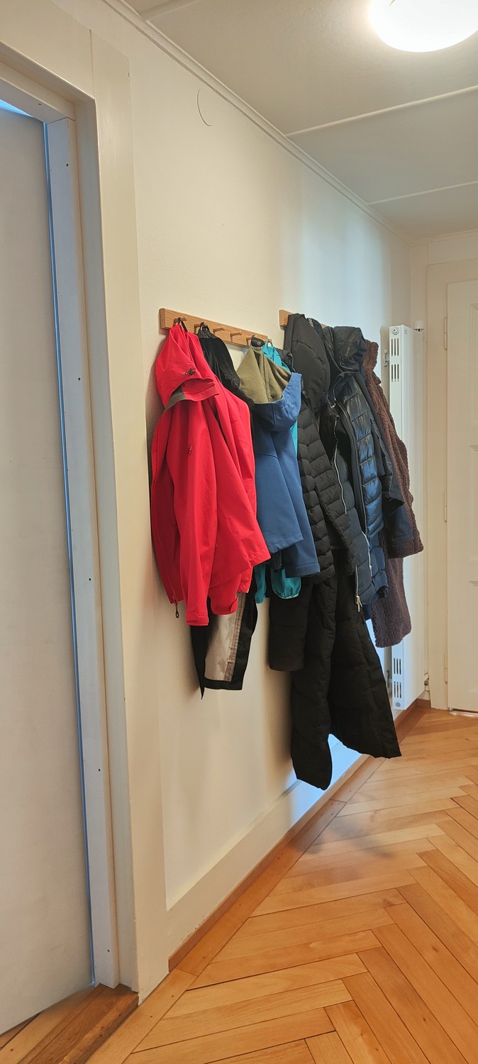 Room in a shared flat
