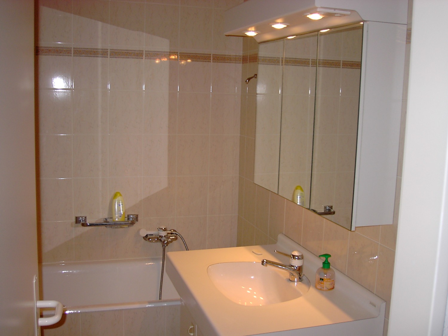 Appartement de 1 ½ pièce