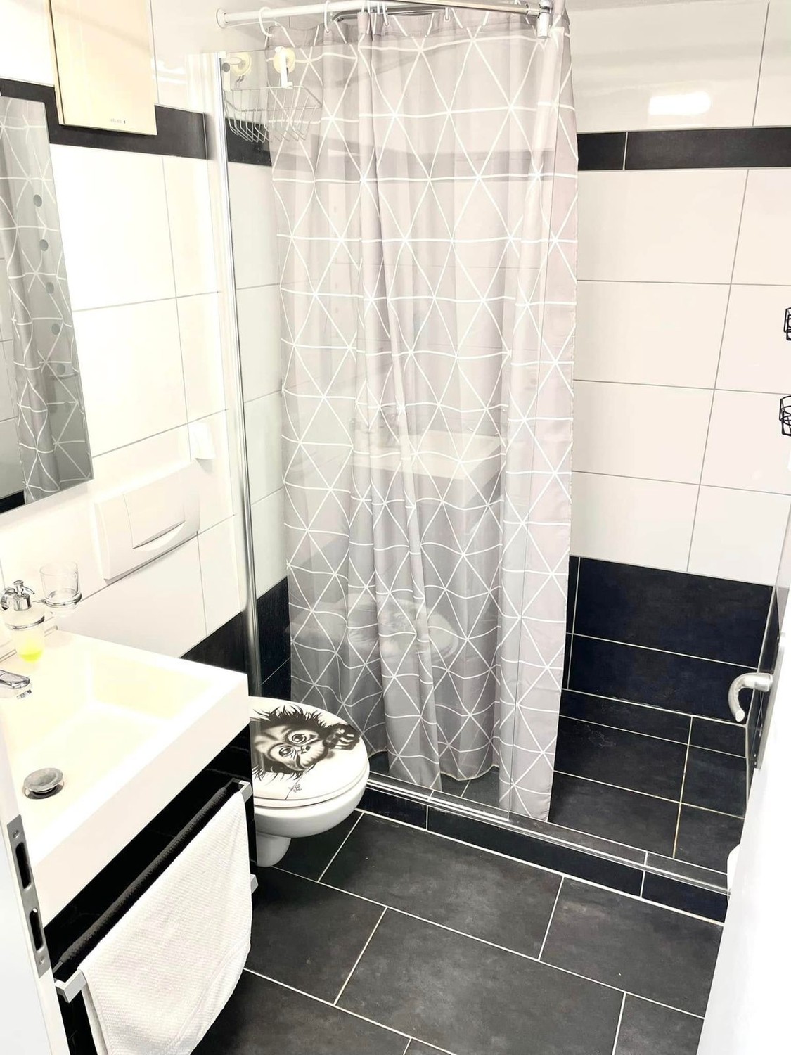 2 ½ rooms apartment
