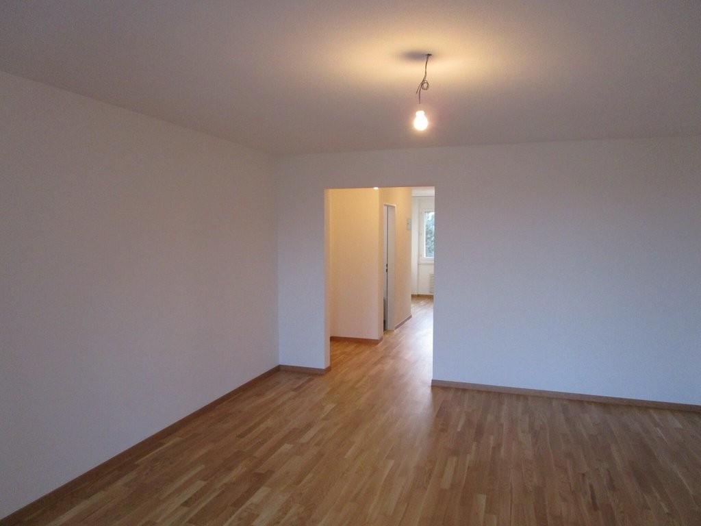 3 ½ Zimmer-Wohnung