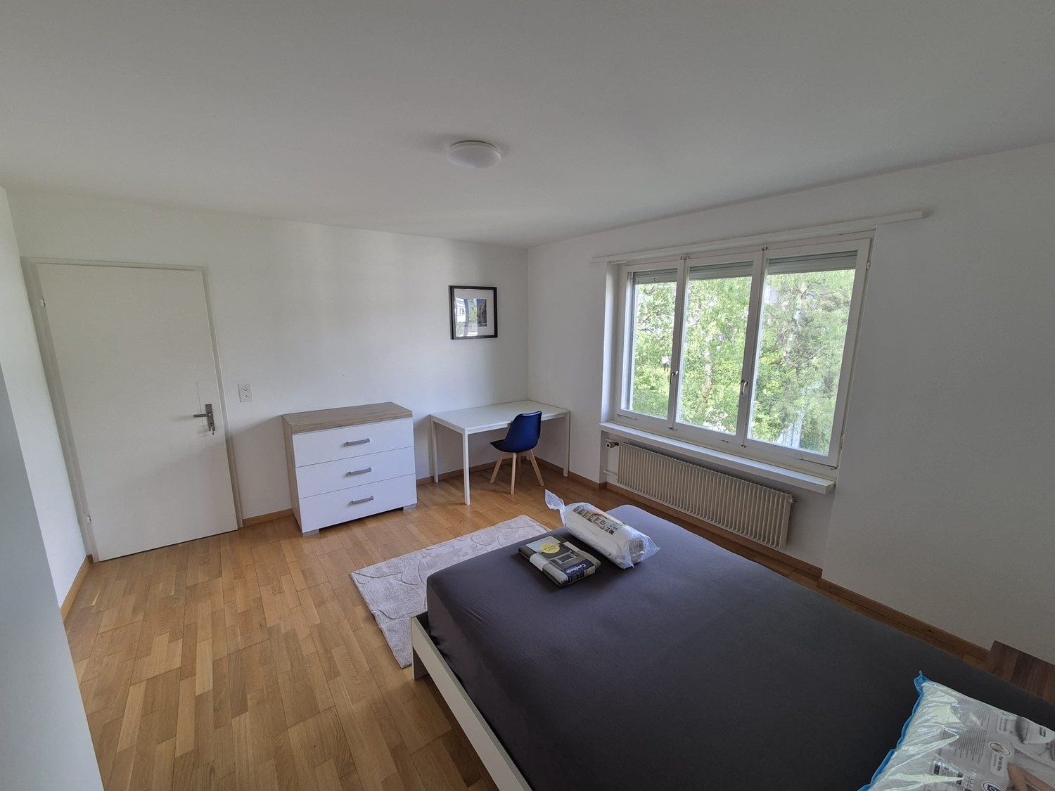 Room in a shared flat