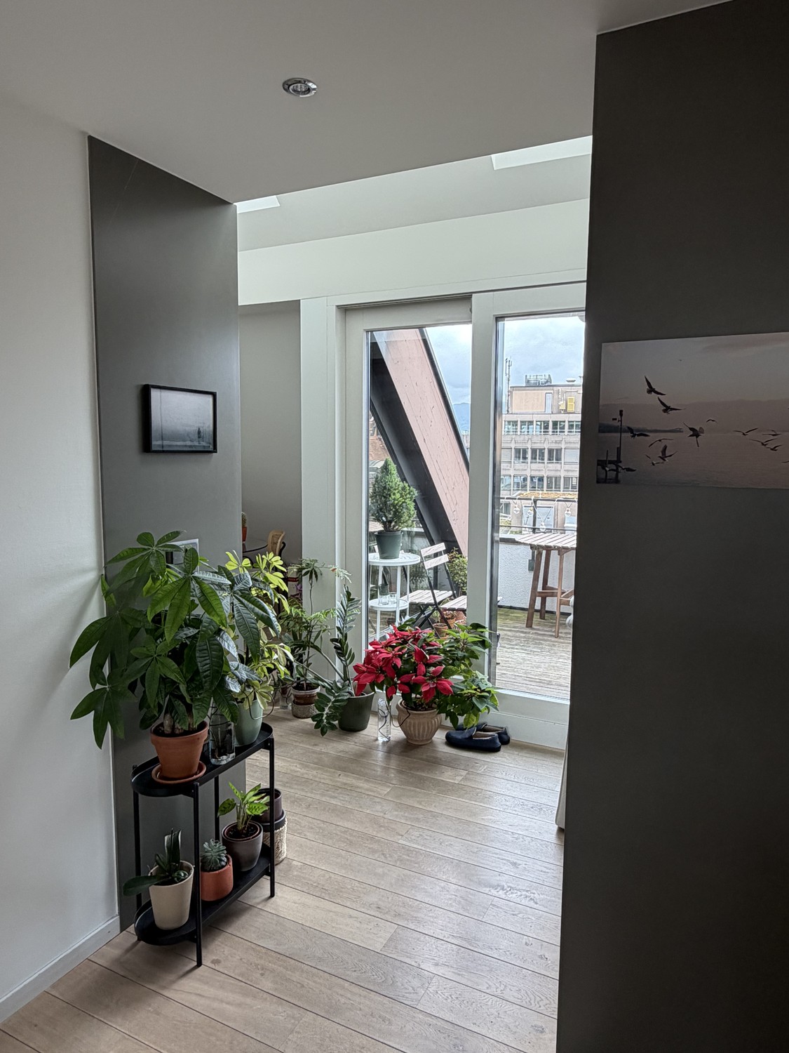 Appartement 2 ½ pièces