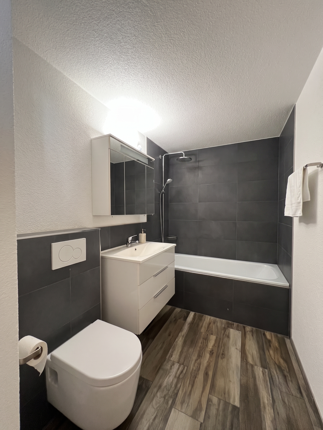 2 ½ rooms apartment
