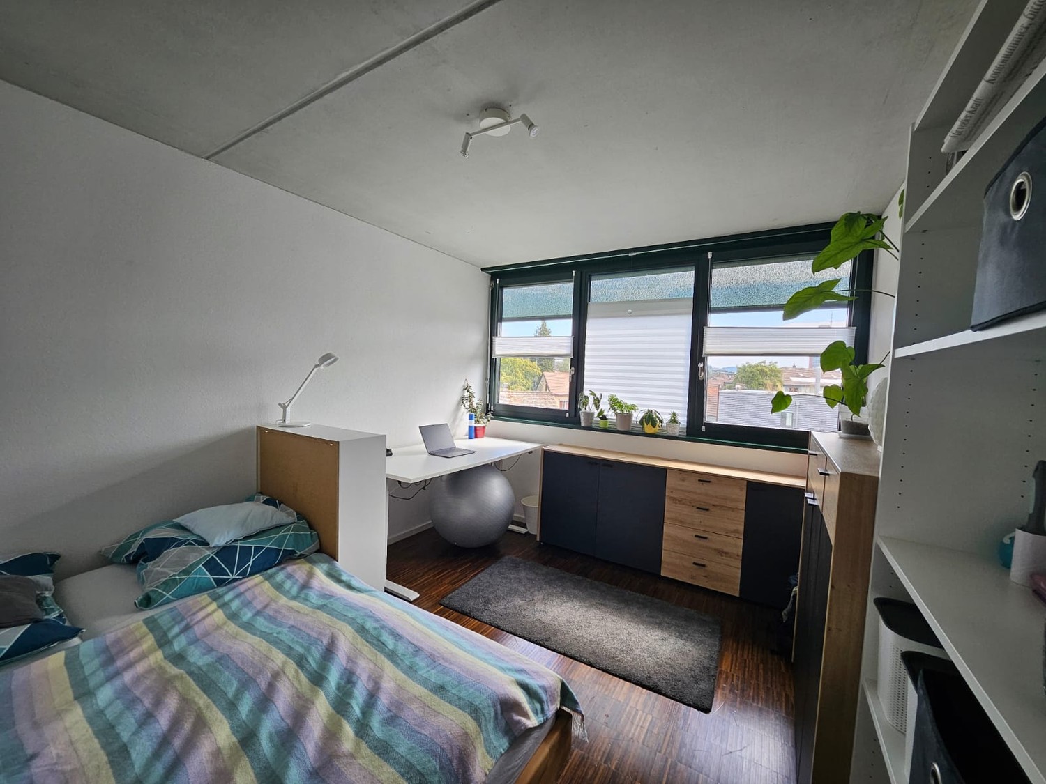Room in a shared flat