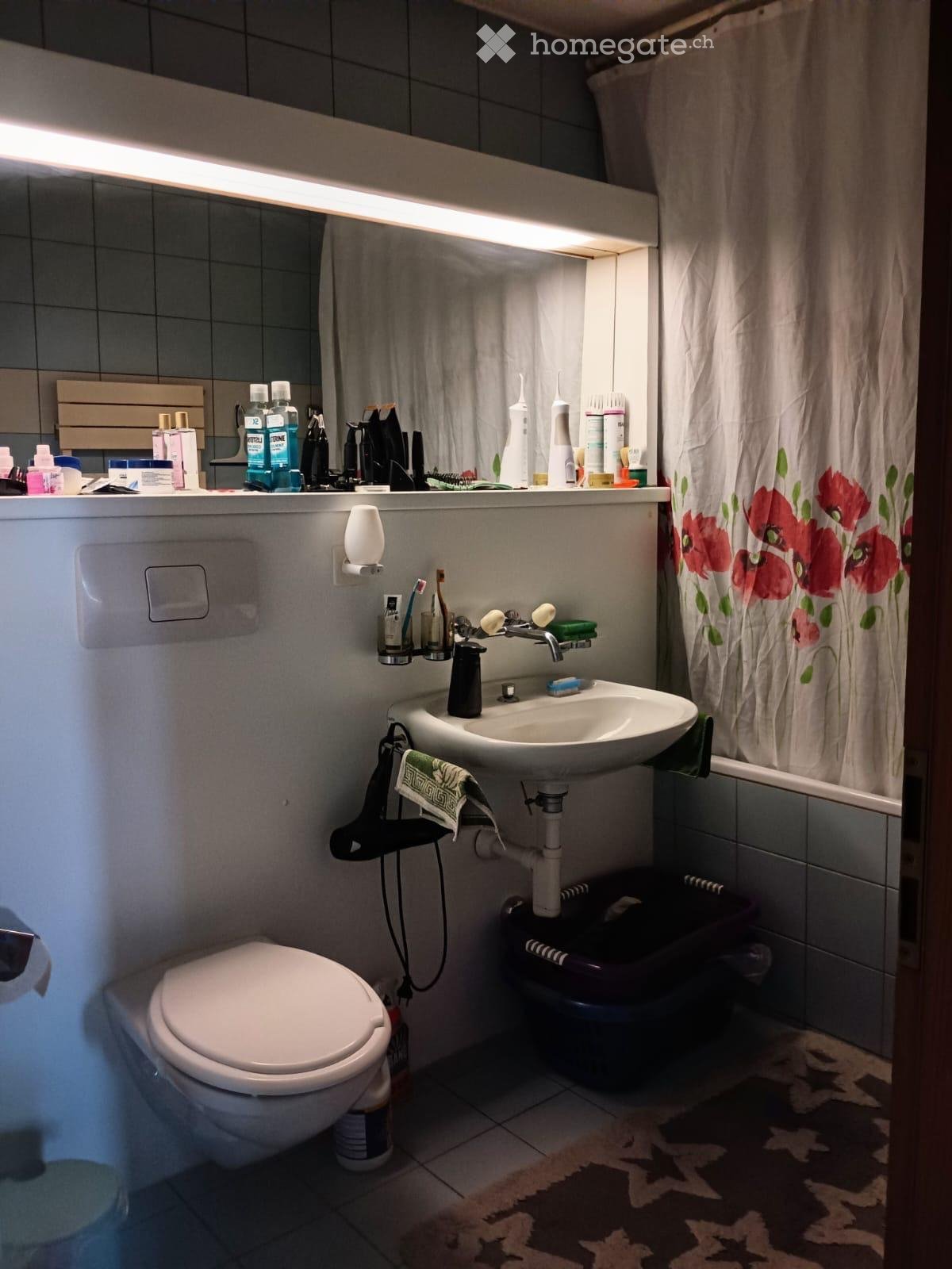 Appartamento di 3 ½ locali