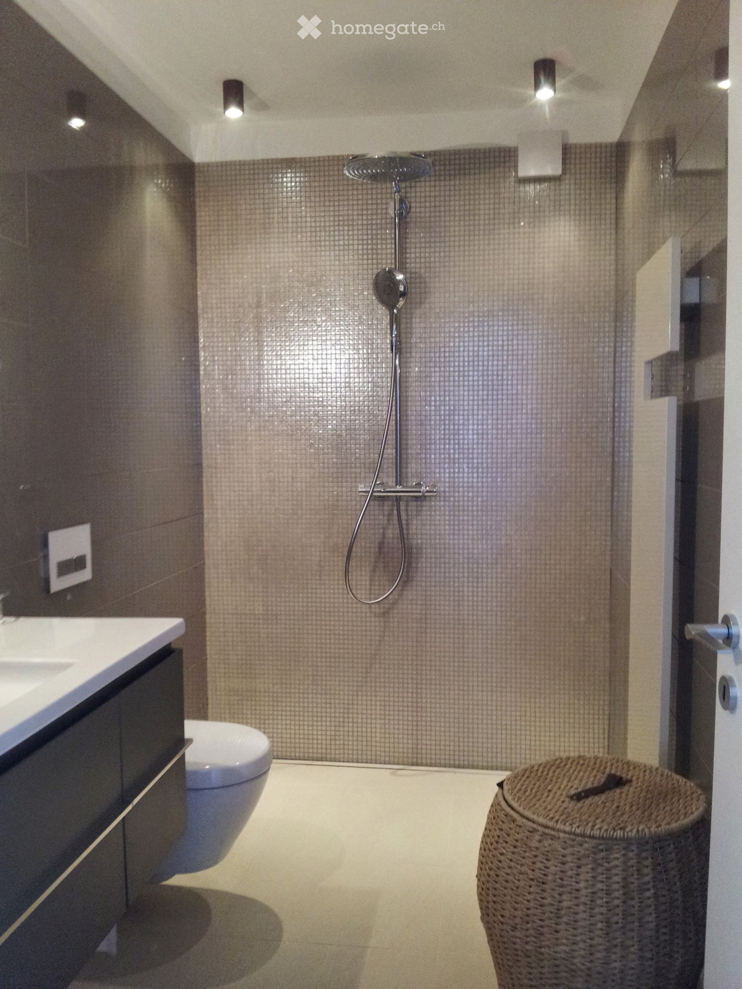 2 ½ Zimmer Wohnung
