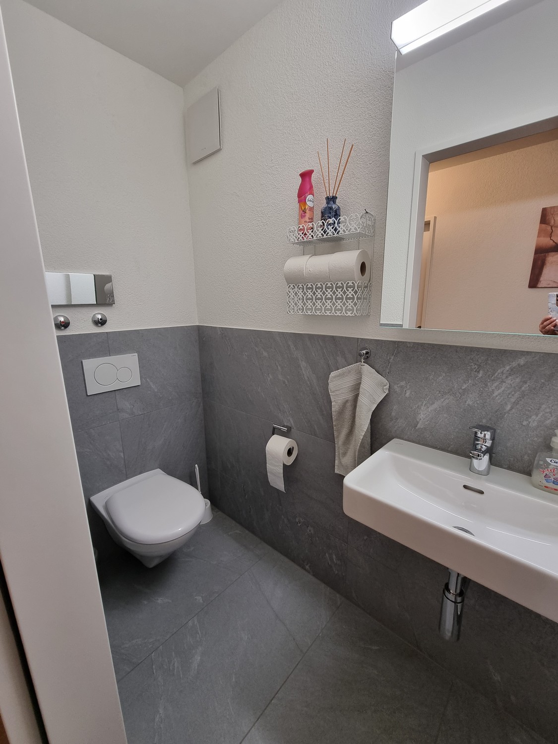 Room in a shared flat