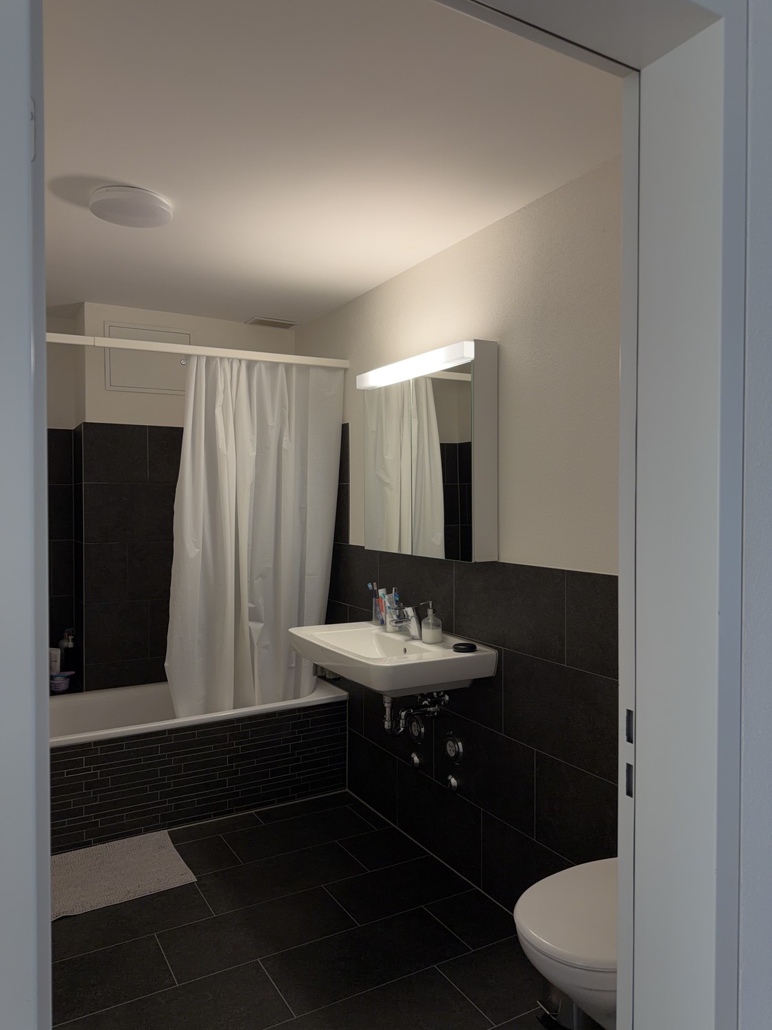 3 ½ Zimmer-Wohnung