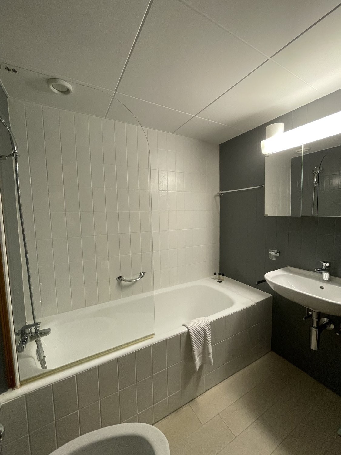 2 ½ Zimmer-Wohnung