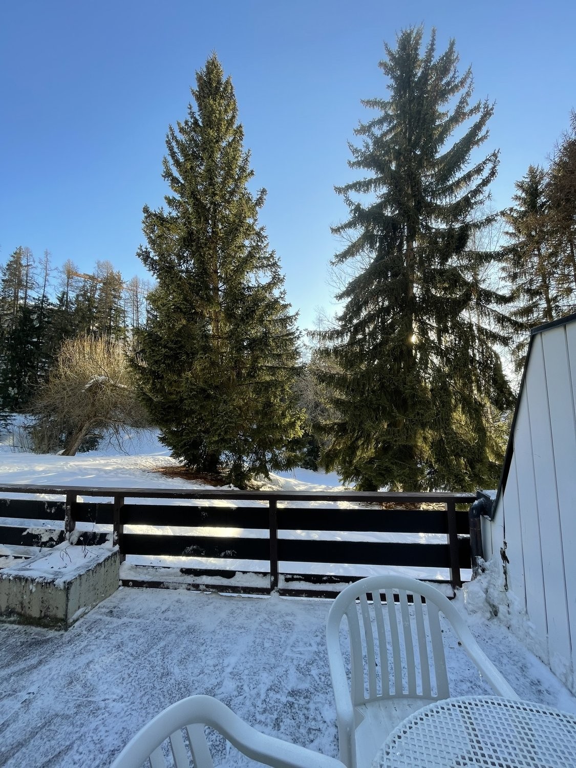 2 ½ Zimmer-Wohnung