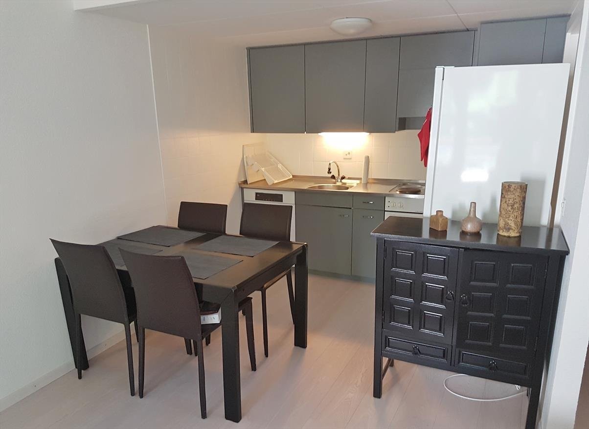 2 ½ Zimmer-Wohnung
