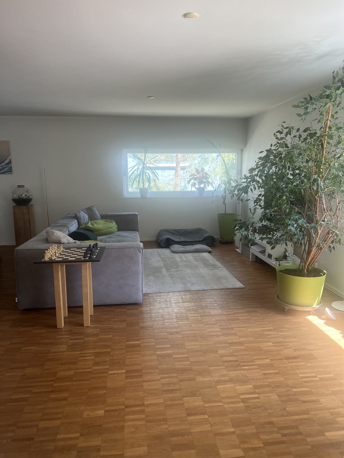 4 ½ rooms apartment