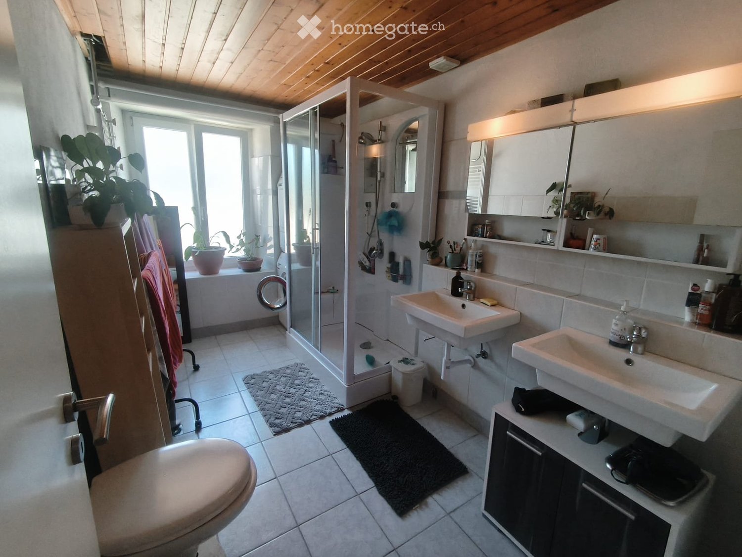 5 ½ Zimmer-Appartement
