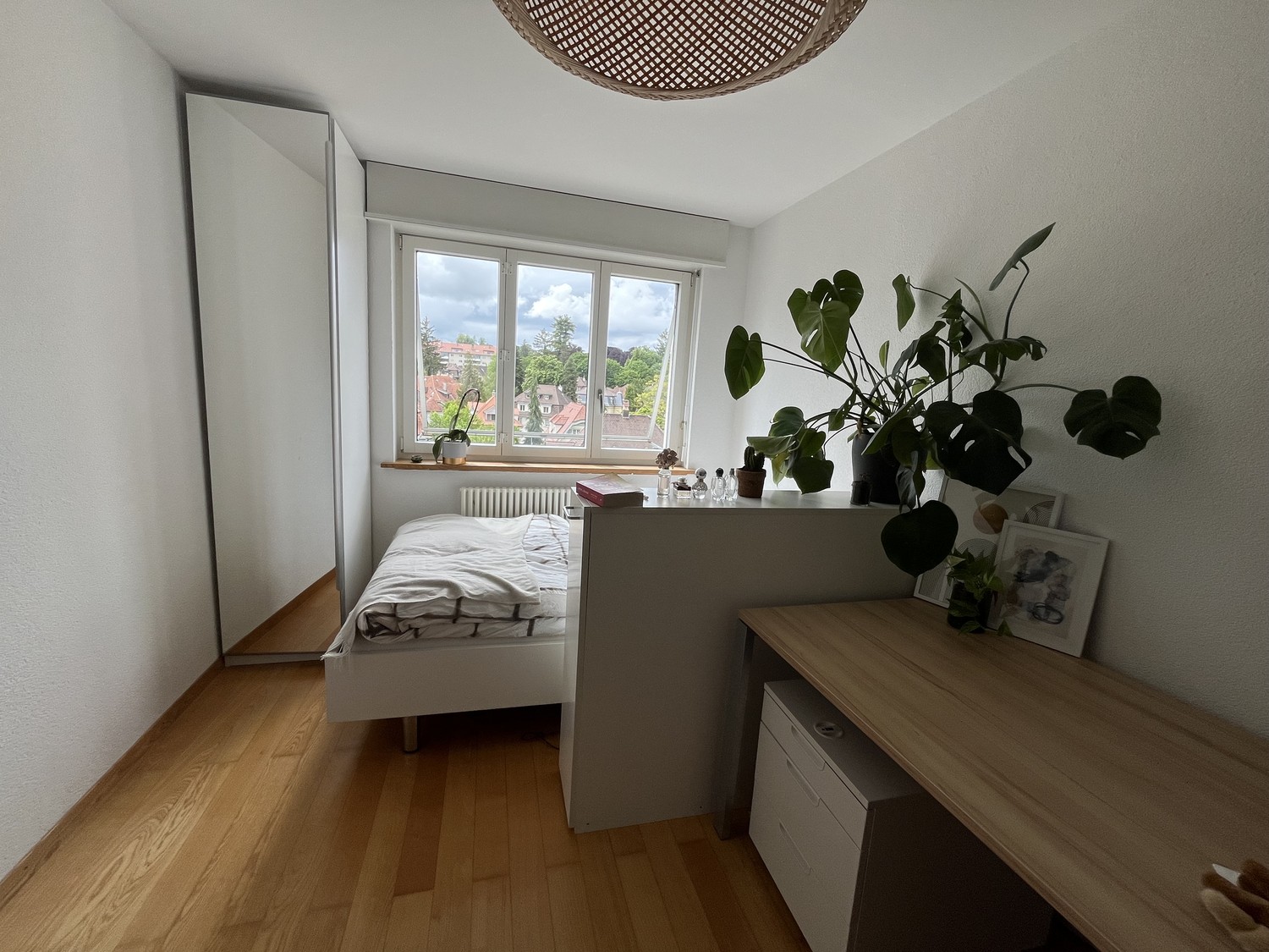 Room in a shared flat