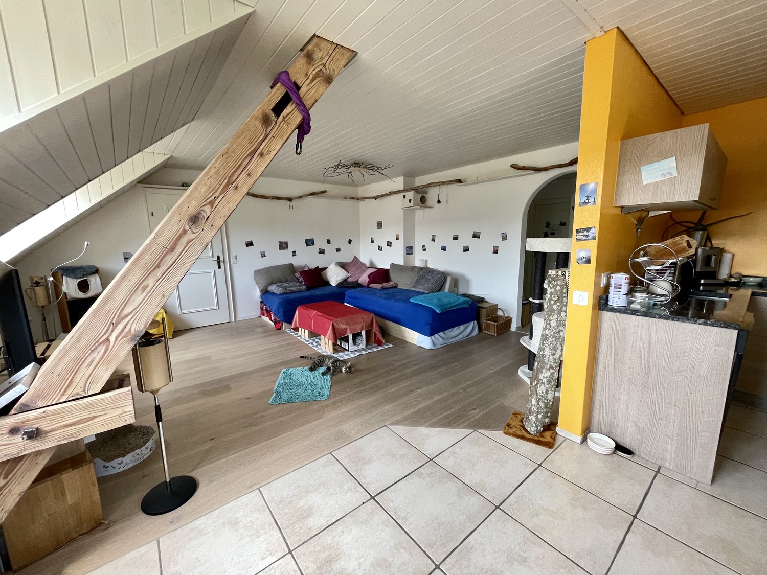 Room in a shared flat