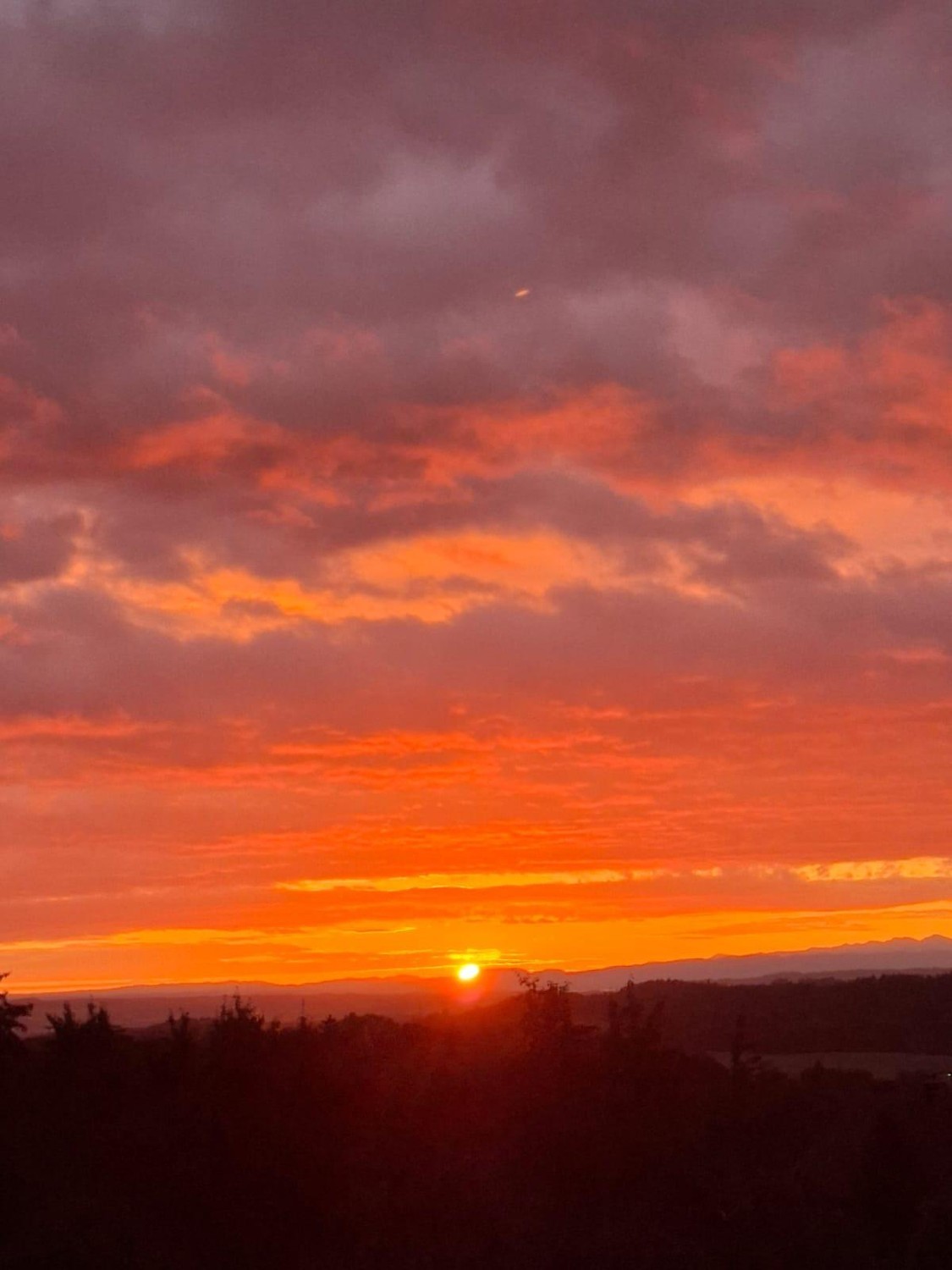 appartamento di 2 locali