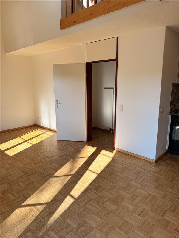 1 ½ rooms duplex