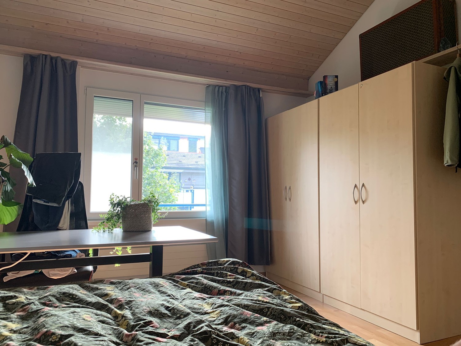 Room in a shared flat
