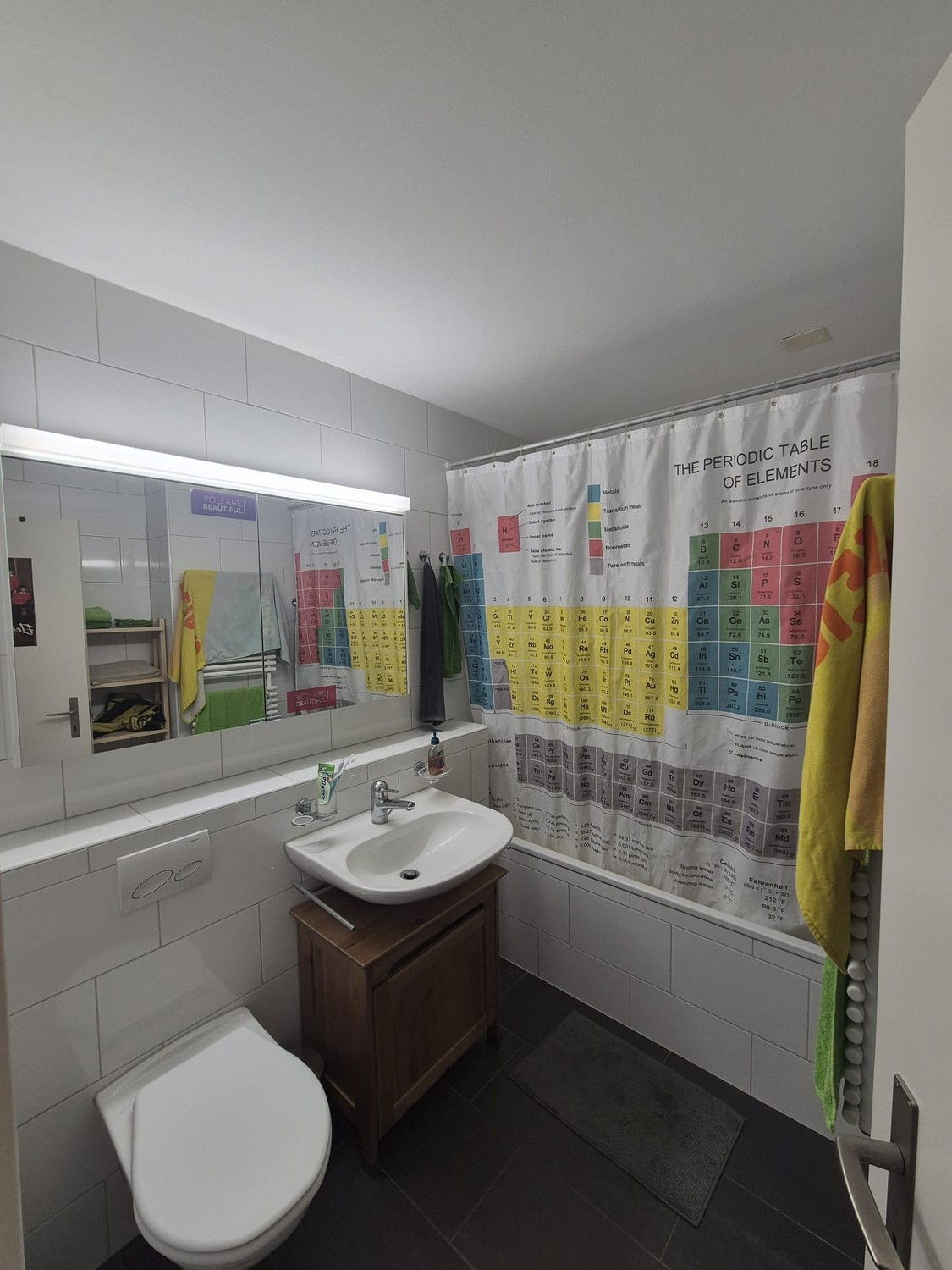 Room in a shared flat