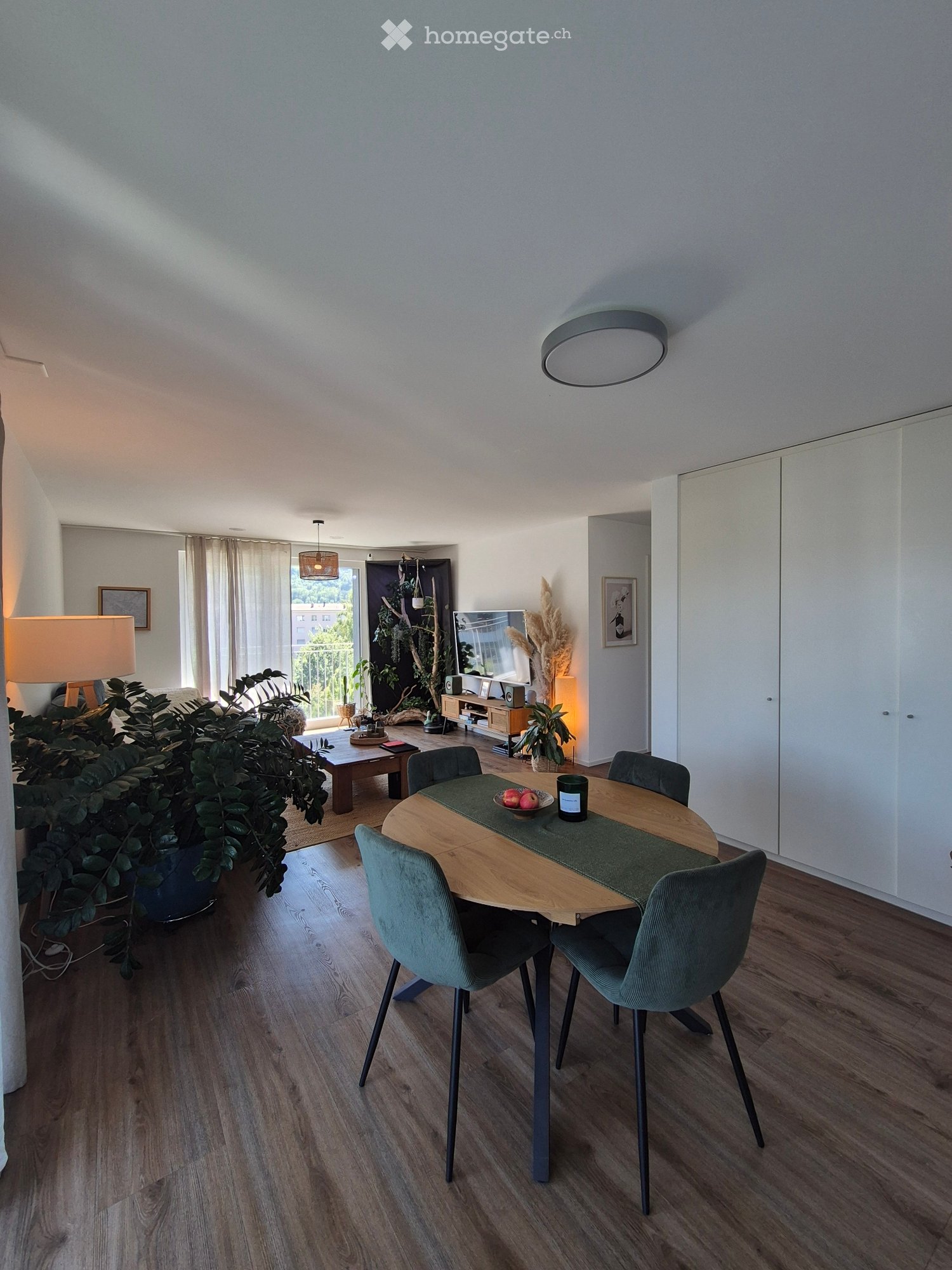 3 ½ Zimmer Wohnung