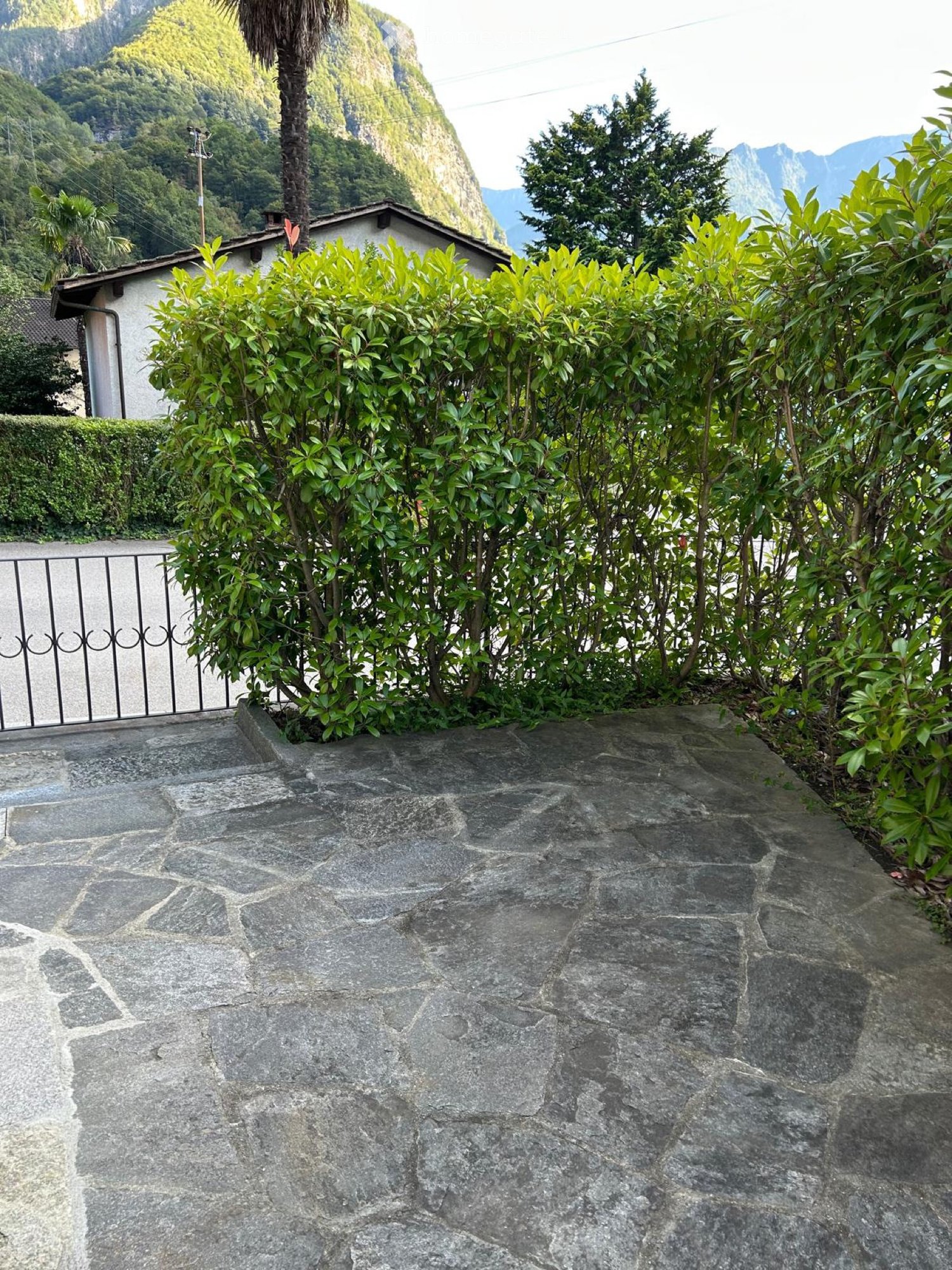 BRIGHT APARTMENT FOR RENT on the ground floor with a small garden