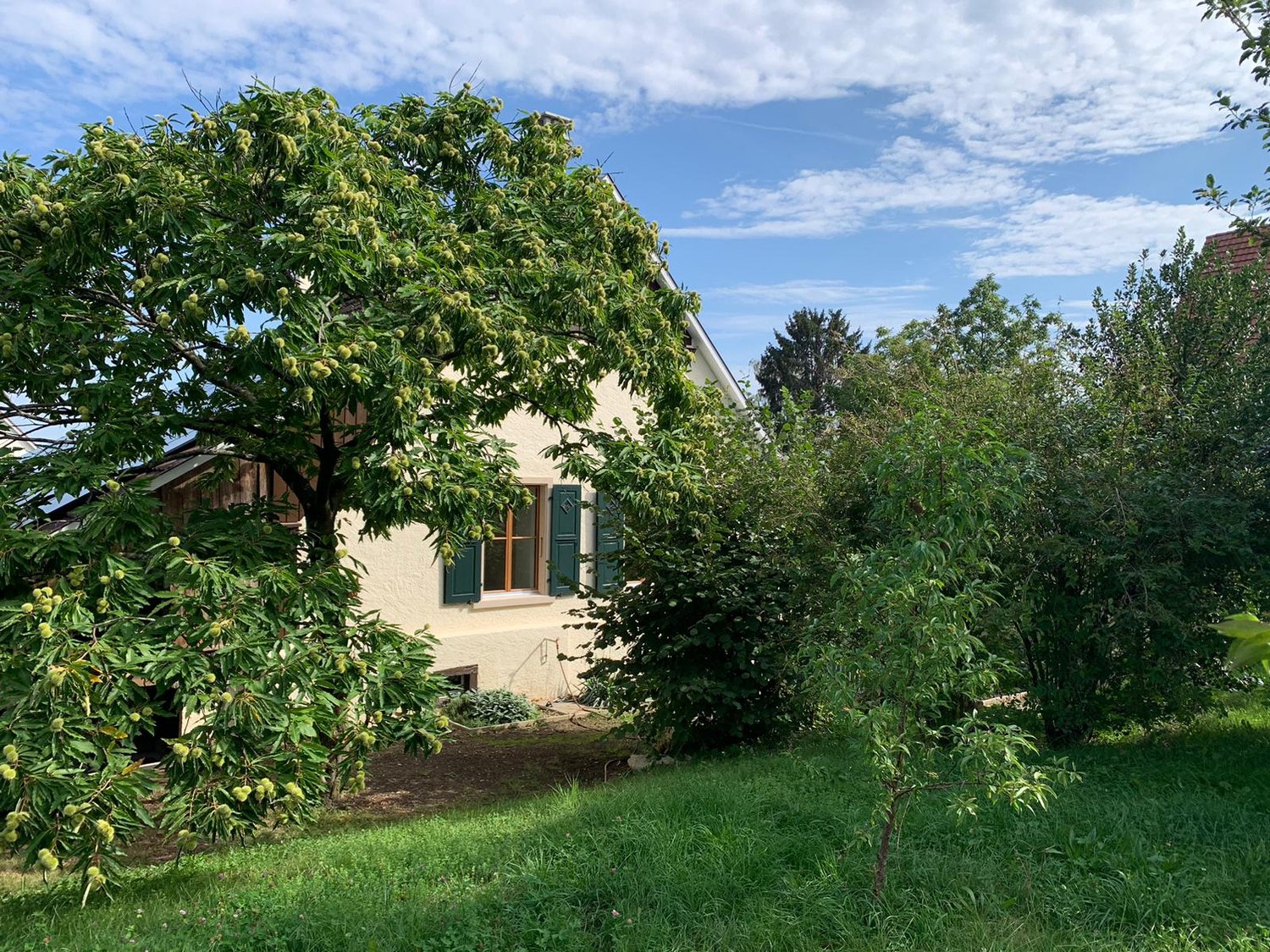 5 ½ rooms single house