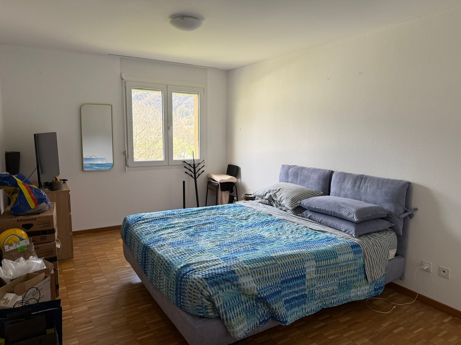 2 ½ pièces appartement
