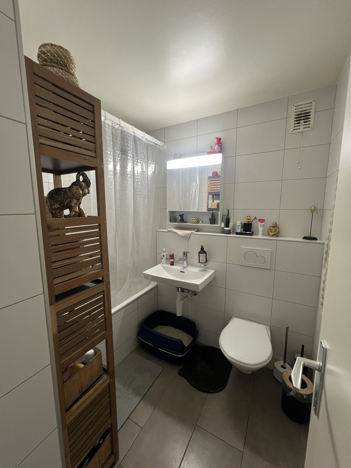 Appartamento di 3 ½ locali