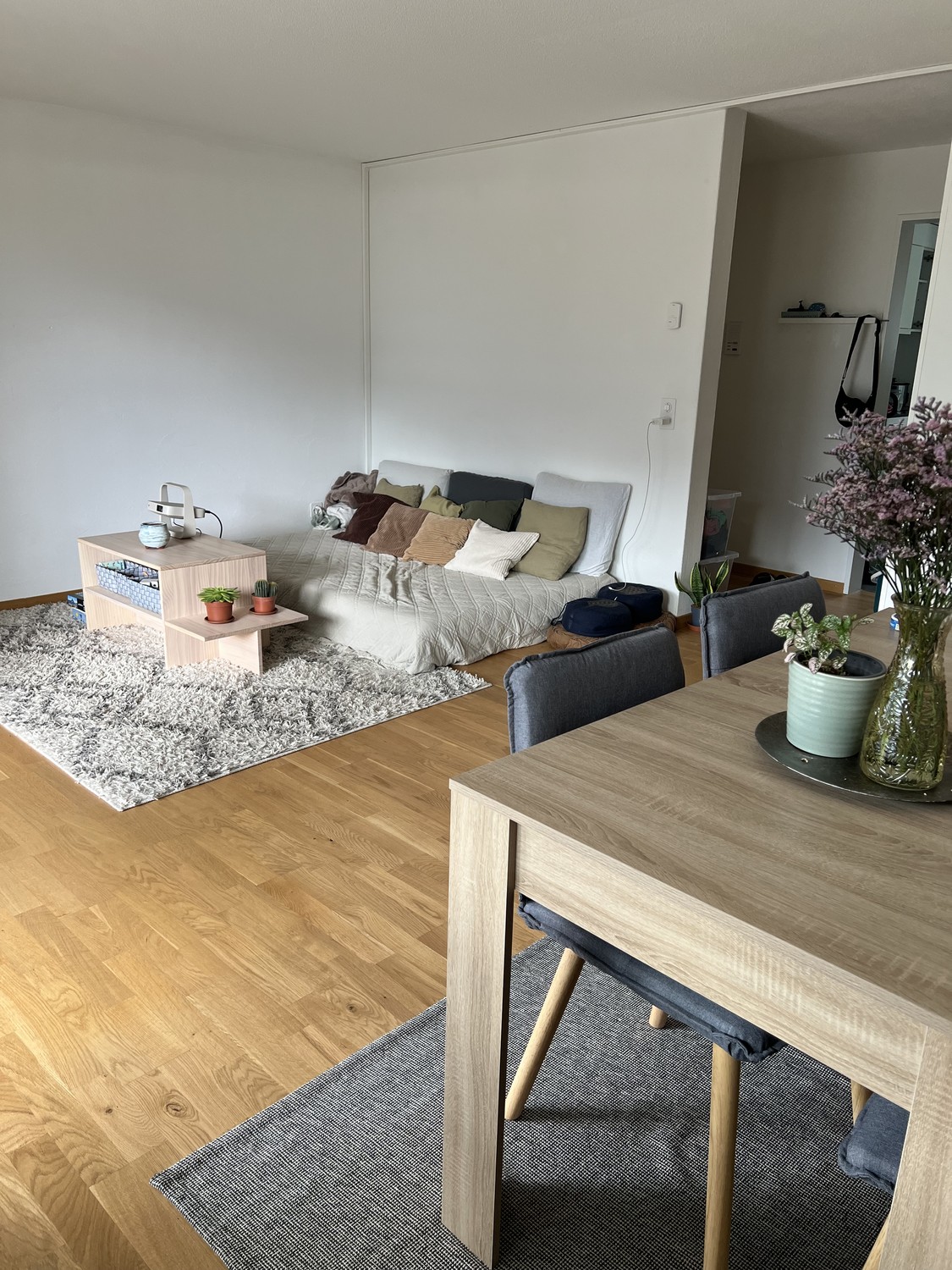 Appartement de 4 ½ pièces
