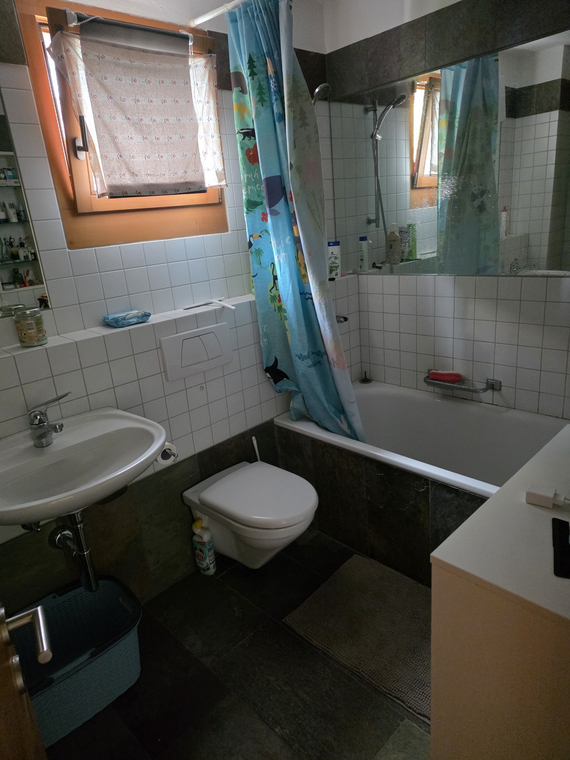 2 ½ rooms apartment