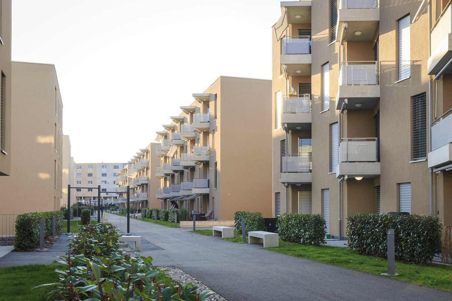 2 ½ Zimmer-Wohnung