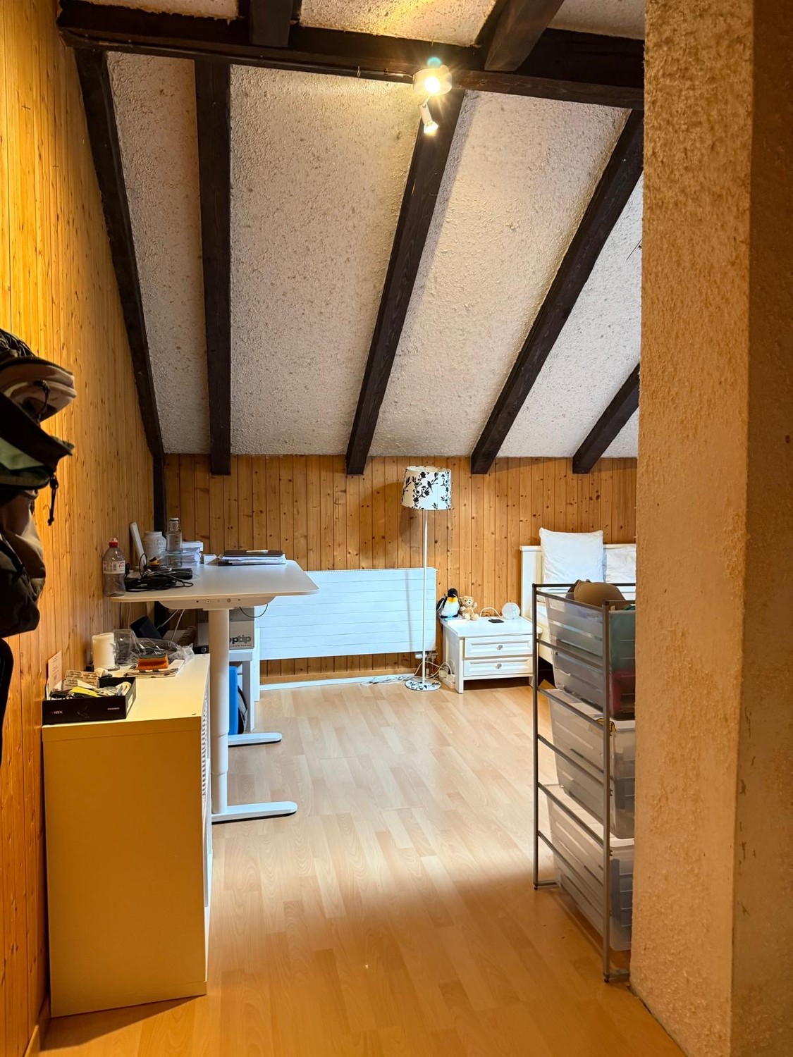 Room in a shared flat