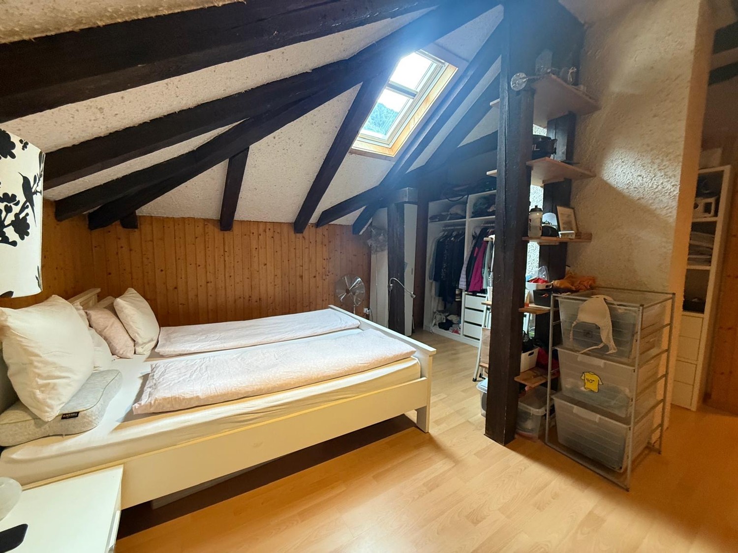 Room in a shared flat