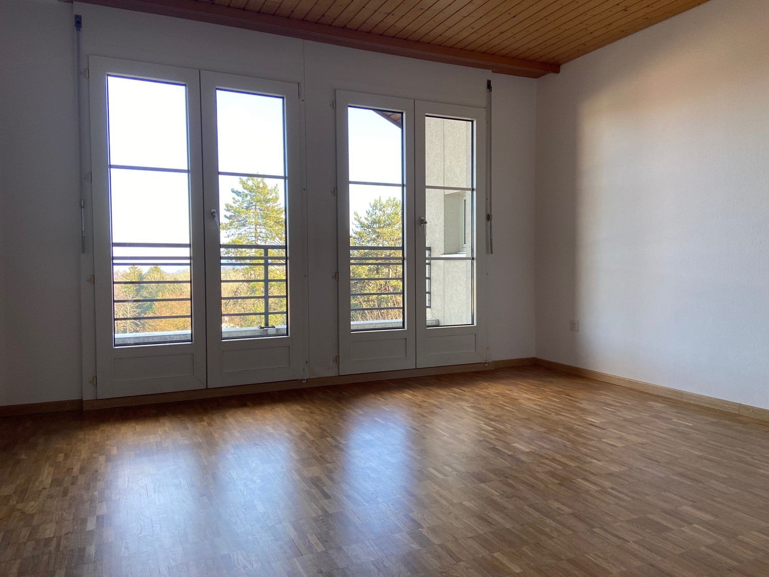 4 ½ rooms apartment