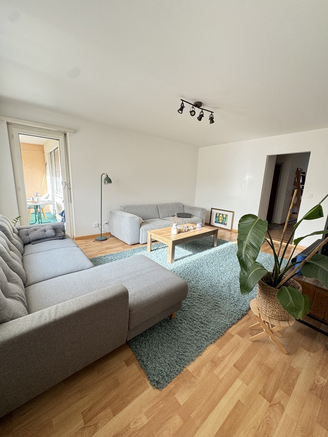 4 ½ Zimmer-Wohnung