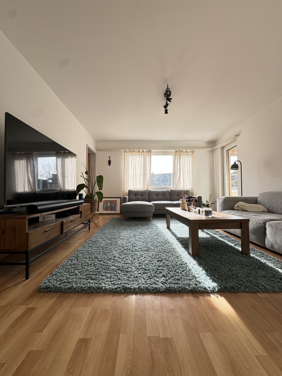 4 ½ Zimmer-Wohnung