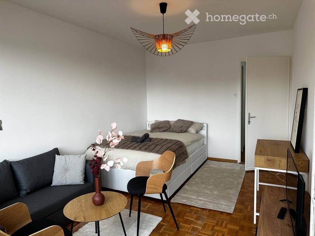 1 ½ Zimmer Wohnung