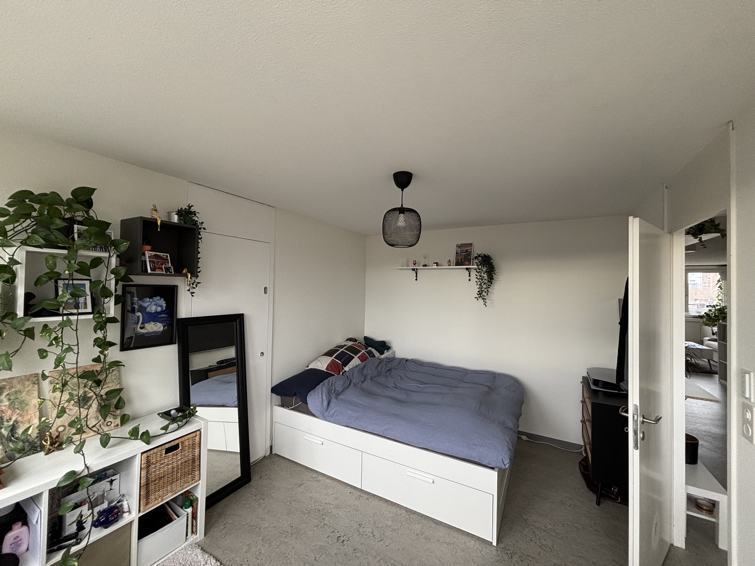 Room in a shared flat